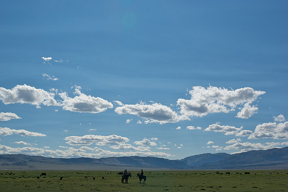 Mongolie 2008