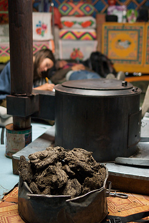 Mongolie 2008