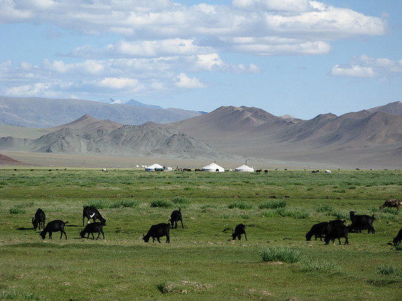 Mongolie 2008