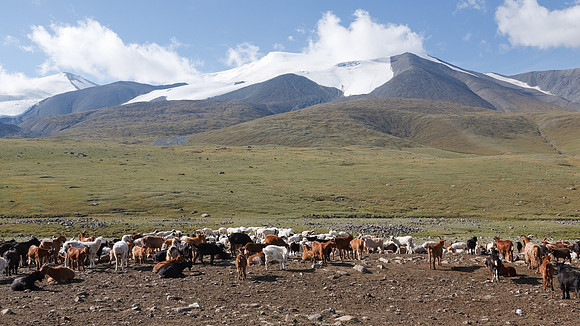 Mongolie 2008