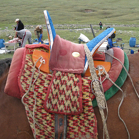 Mongolie 2008