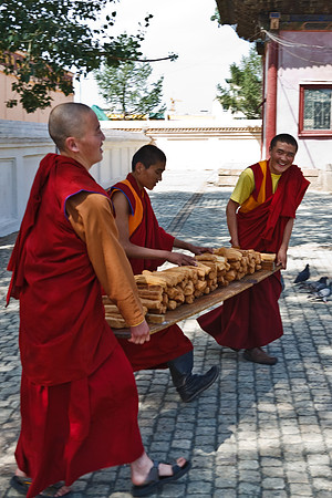 Mongolie 2008
