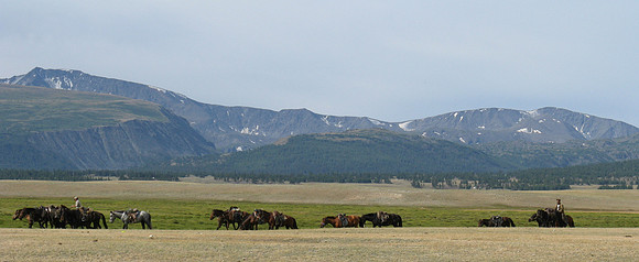 Mongolie 2008