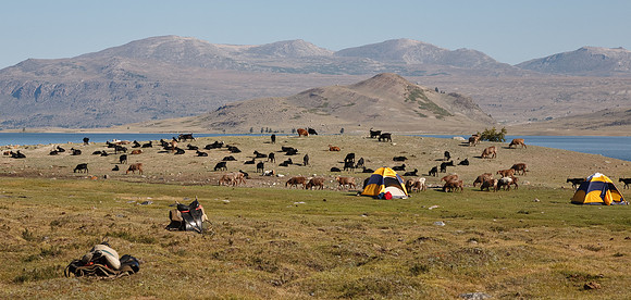 Mongolie 2008