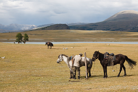 Mongolie 2008