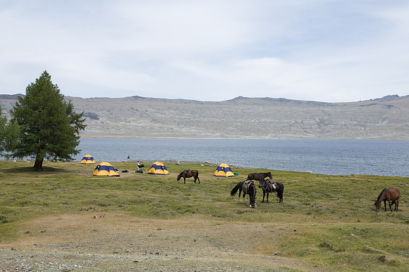 Mongolie 2008