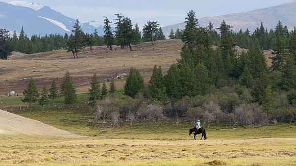 Mongolie 2008