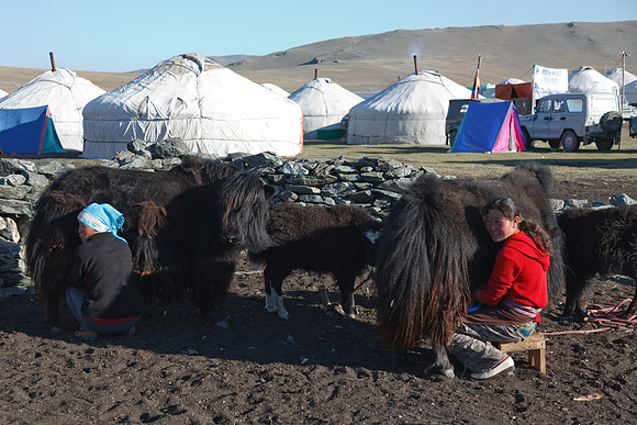 Mongolie 2008
