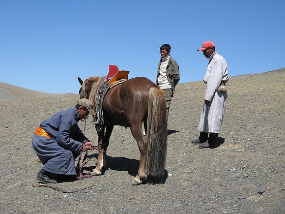 Mongolie 2008