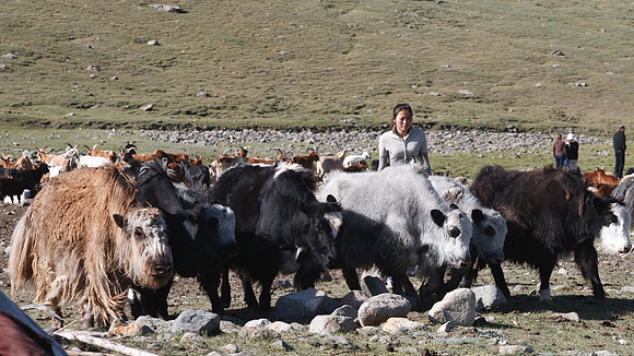 Mongolie 2008