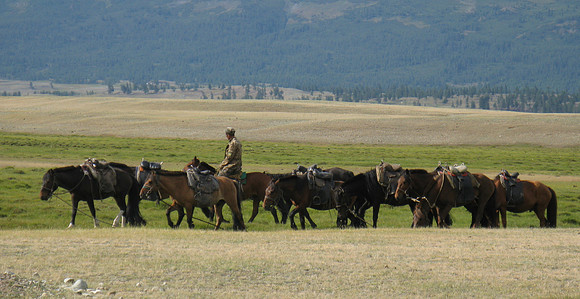 Mongolie 2008