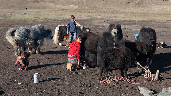 Mongolie 2008