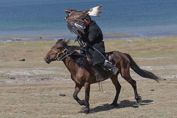 Mongolie 2008