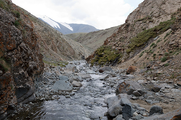 Mongolie 2008