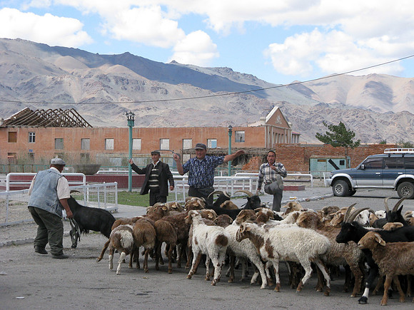 Mongolie 2008