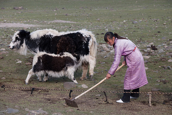 Mongolie 2008