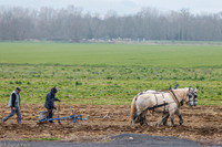 Concours d'attelage 07 avril 2013