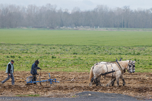 Démonstration de labours