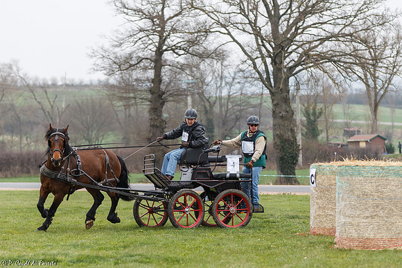 Concours d'attelage