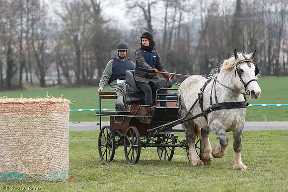 Concours d'attelage