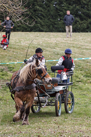Concours d'attelage