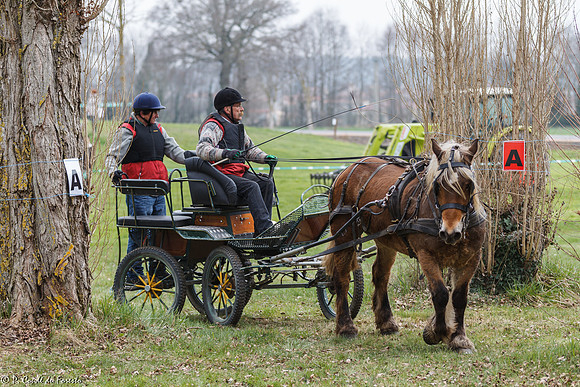 Concours d'attelage