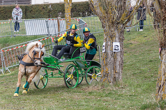 Concours d'attelage