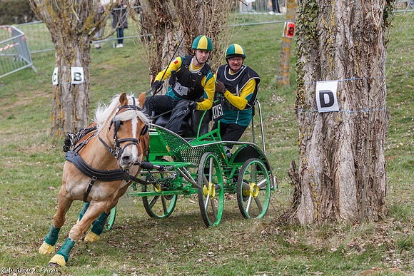 Concours d'attelage