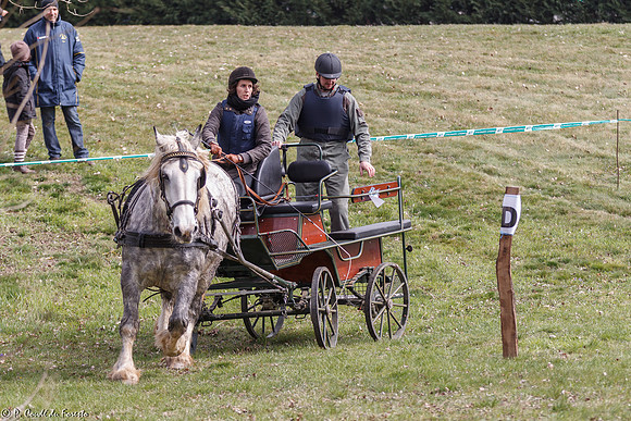 Concours d'attelage