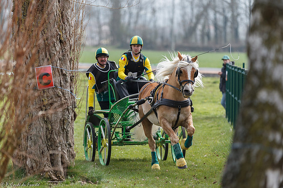 Concours d'attelage