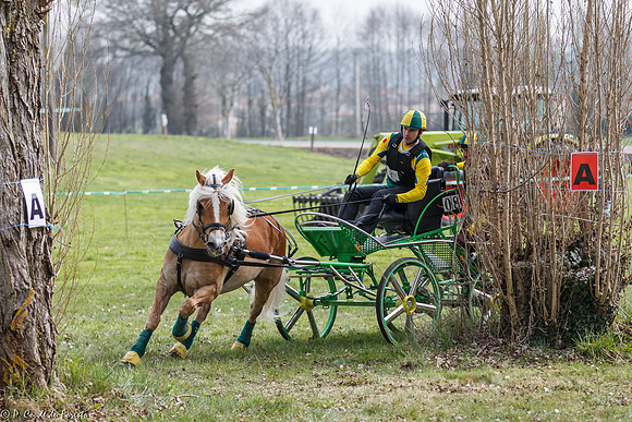 Concours d'attelage