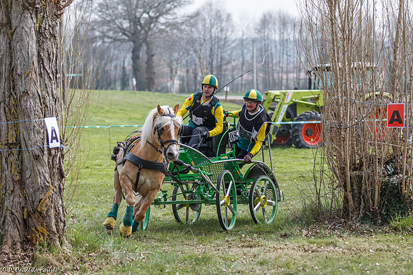 Concours d'attelage