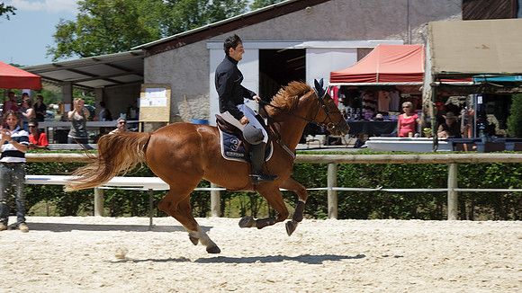 CSO Amateur 2 Vitesse (1,10m)