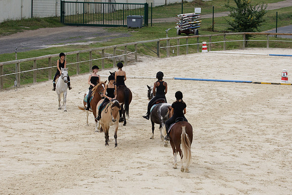Fête du cheval 2010