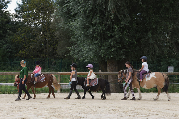 Fête du cheval 2010