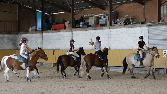 Fête du cheval 2010