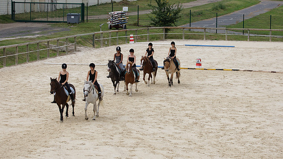 Fête du cheval 2010