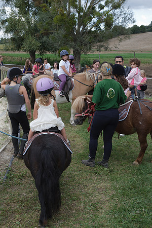 Fête du cheval 2010