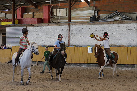 Fête du cheval 2010