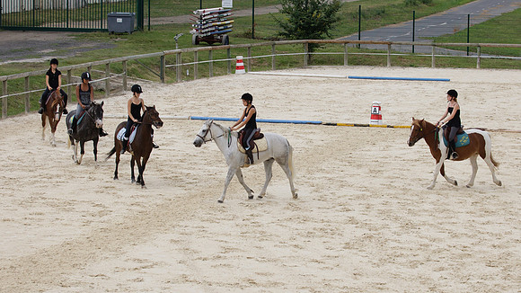 Fête du cheval 2010