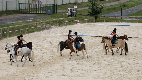 Fête du cheval 2010