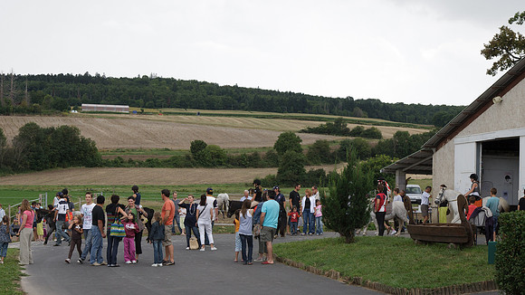 Fête du cheval 2010