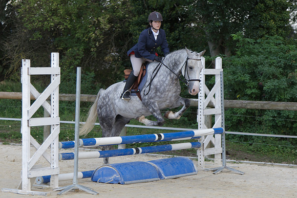 Fête du cheval 2010