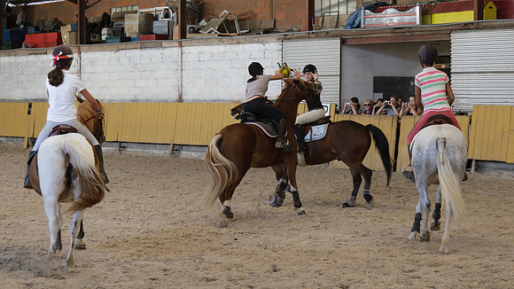 Fête du cheval 2010