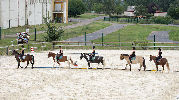 Fête du cheval 2010