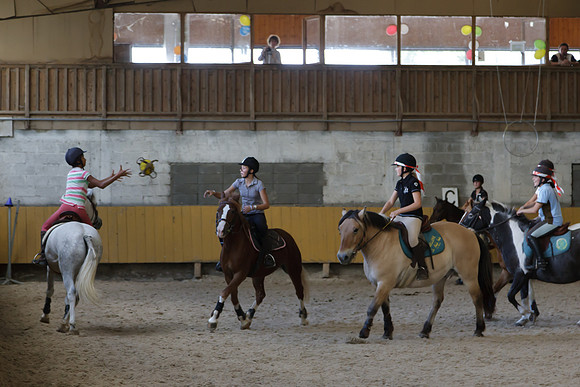 Fête du cheval 2010