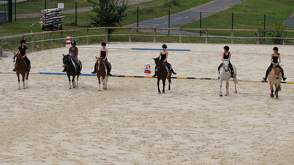 Fête du cheval 2010