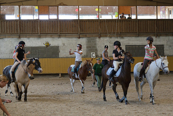Fête du cheval 2010