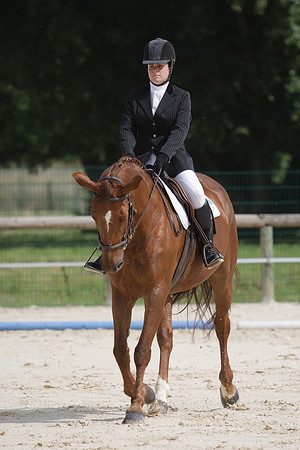 Fête du cheval 2010