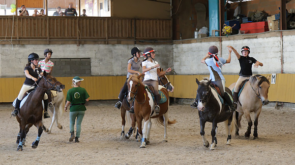 Fête du cheval 2010